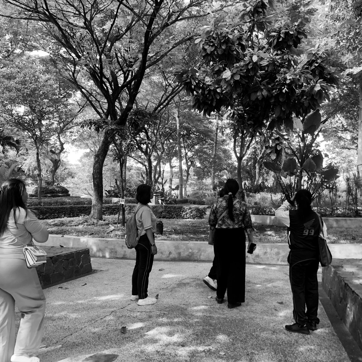 Pingkipong's tweet photo. Punya temen kerja yang sukanya bikin momen-momen random tapi berkesan.
Mari buat kenangan yang banyak yaaaa 🤍
Ayo tetap makan di warung, main dan naik bis bareng dari bungurasih, melatih adrenalin di rumah hantu, diskusi kerjaan dan apapun yang saling membangun 🥹 https://t.co/NgG9CtWDI9