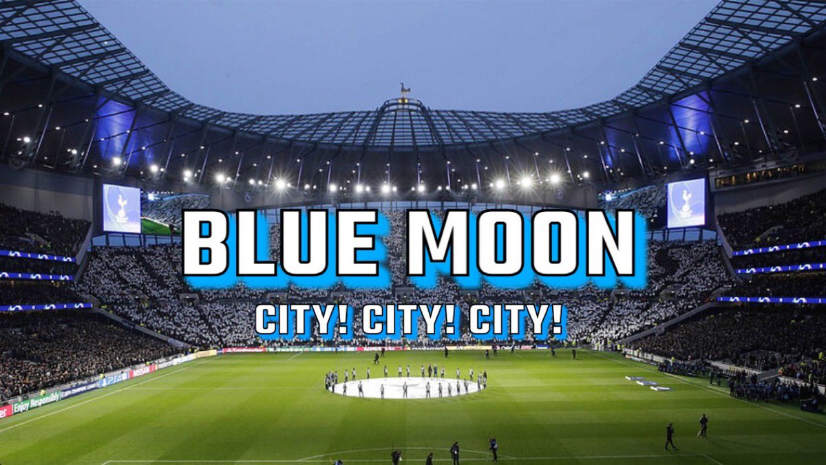 Tifo sorted for the Man City game, @thfcflags?