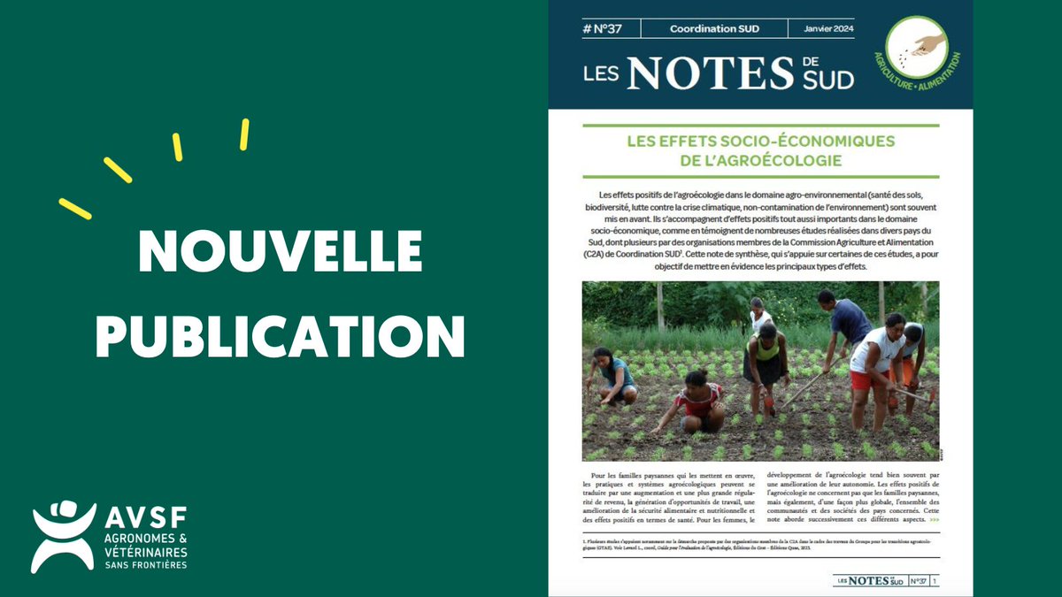 📖 #Publication : si les effets positifs de l’agroécologie sur l’environnement sont connus, qu’en est-il de l’impact socio-économique ? 🔎 Lire la note de synthèse de @coordinationsud, qui s’appuie sur plusieurs études de ses membres : avsf.org/publications/l… #agroecologie