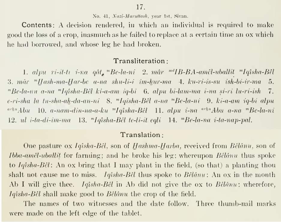 A decision renderer,in which an individual is required to make good the loss of a crop , inasmuch as he failed to replace at a certain time an ox which he had borrowed, and whose leg he had broken

The Babylonian Expedition of the University of Pennsylvania
vol.14-41