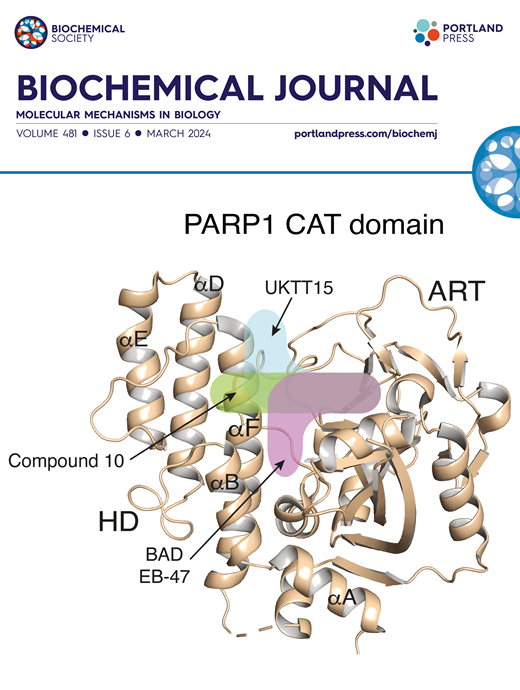 Explore our latest issue of the Biochemical Journal! This issue features papers covering cancer, cell cycle regulation and post-translational modifications. ow.ly/nBTJ50R7AAQ