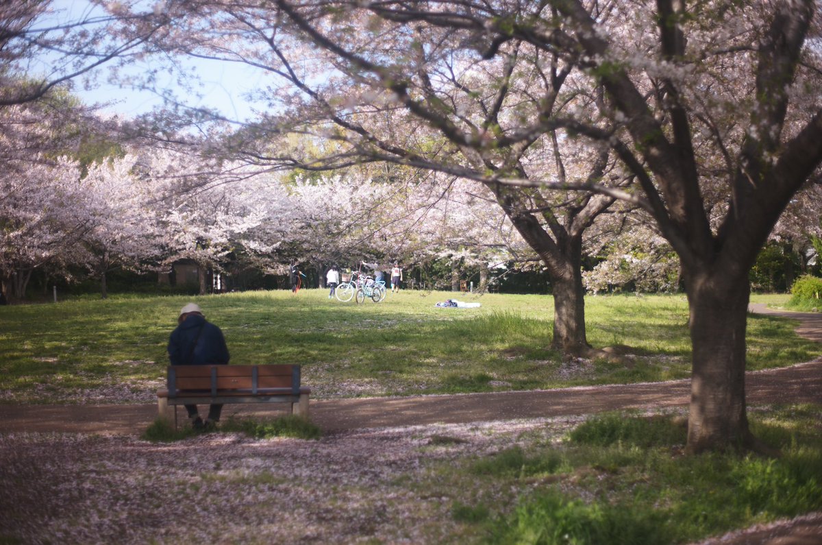 おはようございます🌞

#カメラ初心者 #photography #キリトリセカイ #スナップ写真