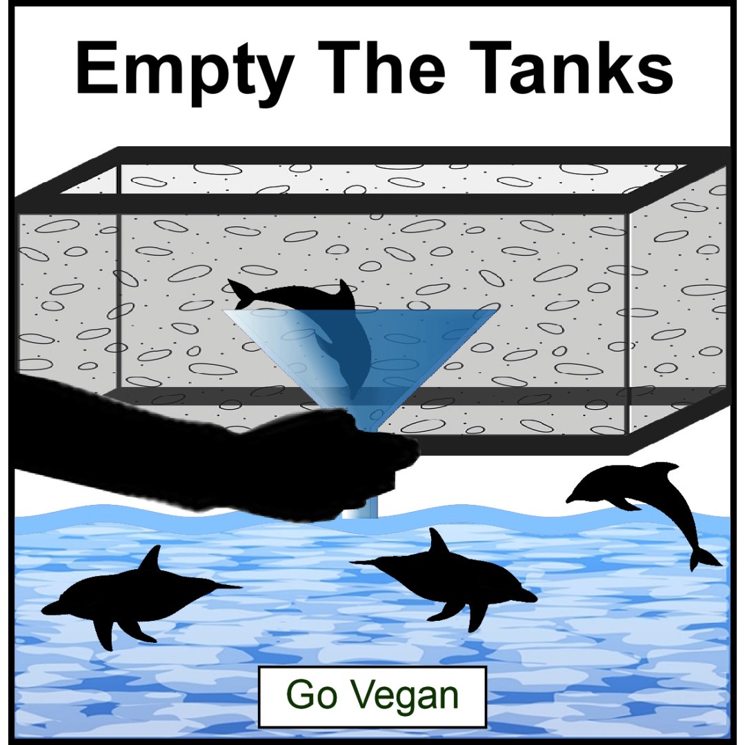 #emptythetanks #dolphins #orcas #aquariums