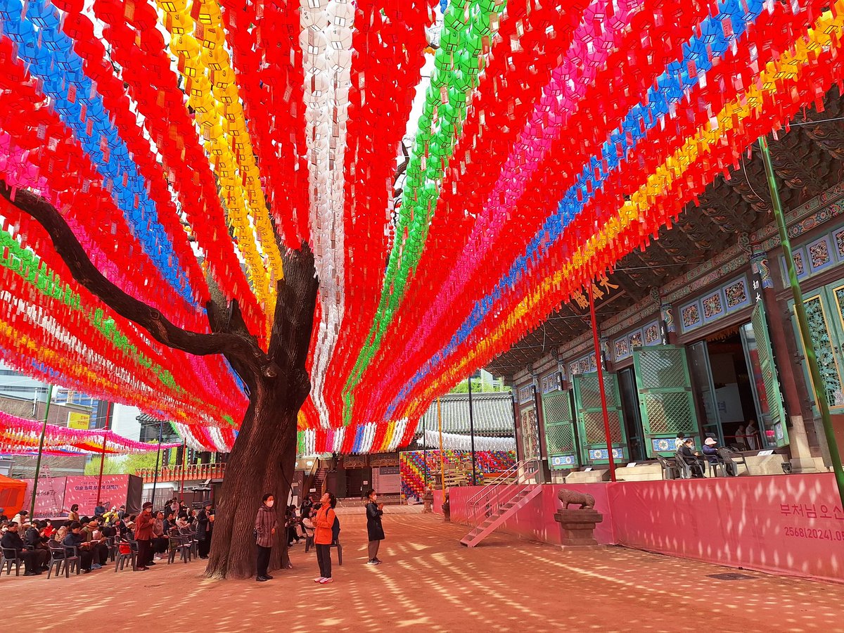 Followed a grey worshipper out of the grey subway station to the Seoul Jogyesa Buddhist temple; found an absolute riot of colour in preparation for Buddha's birthday next month. (Also a riot of sound; the huge number of worshippers spills outside, so the services are amplified++)