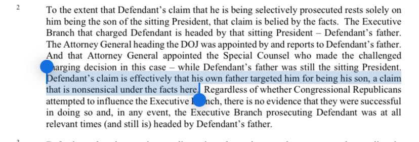 JUST IN: Judge in Hunter Biden’s gun case has *denied* his motion to dismiss the case for “selective prosecution.” She says his claim basically amounts to him saying his own dad, President Biden, is targeting him. storage.courtlistener.com/recap/gov.usco…