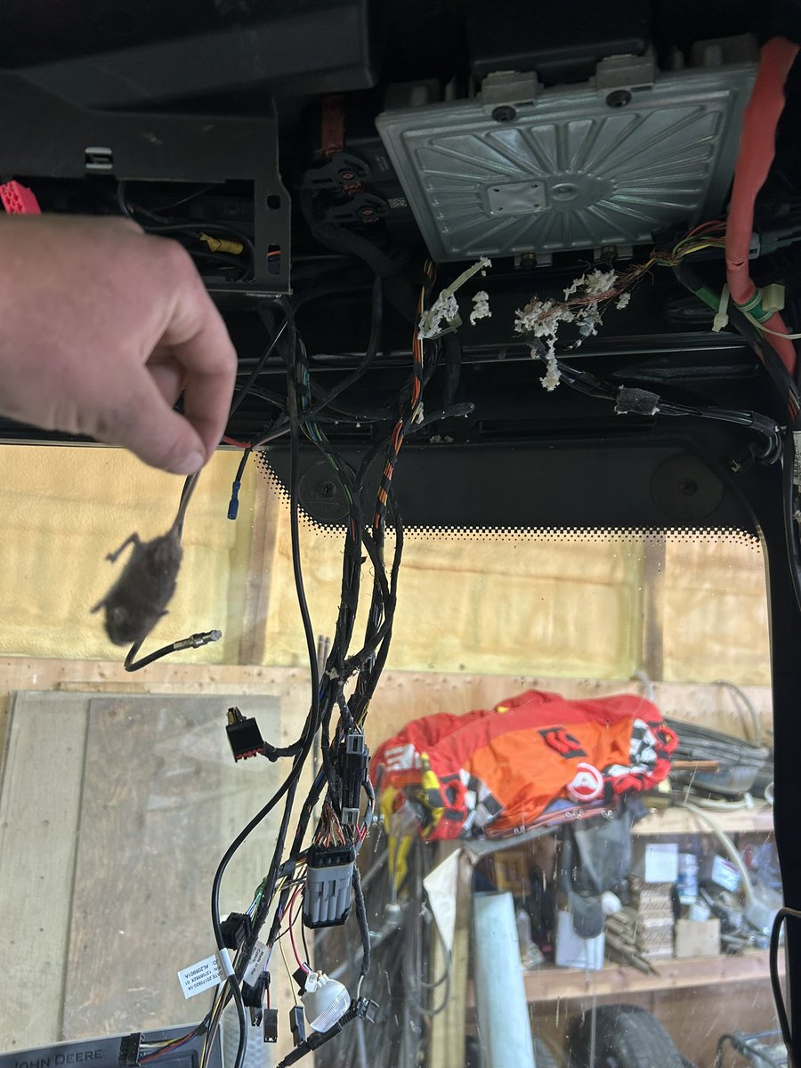 Tim Halsema tweet media