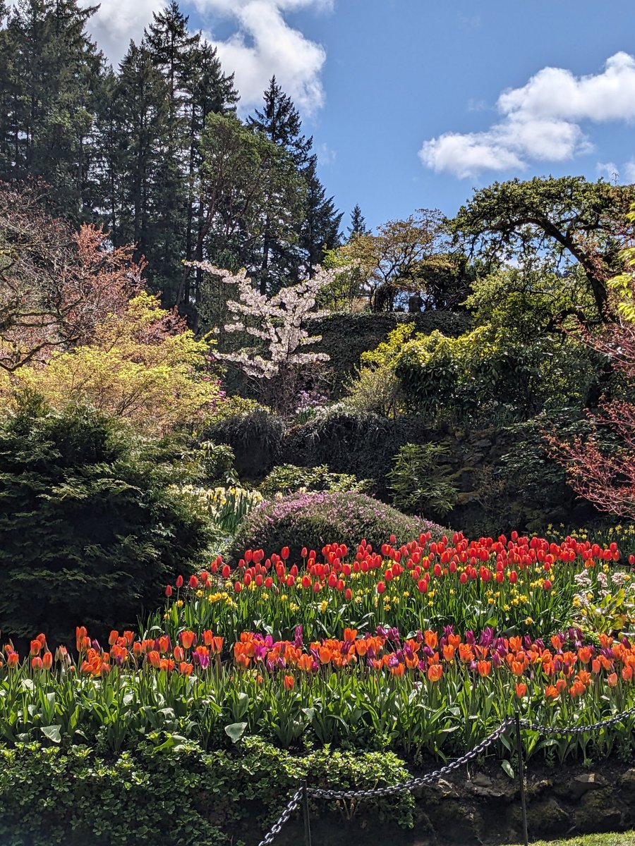 Your moment of Zen from @butchartgardens