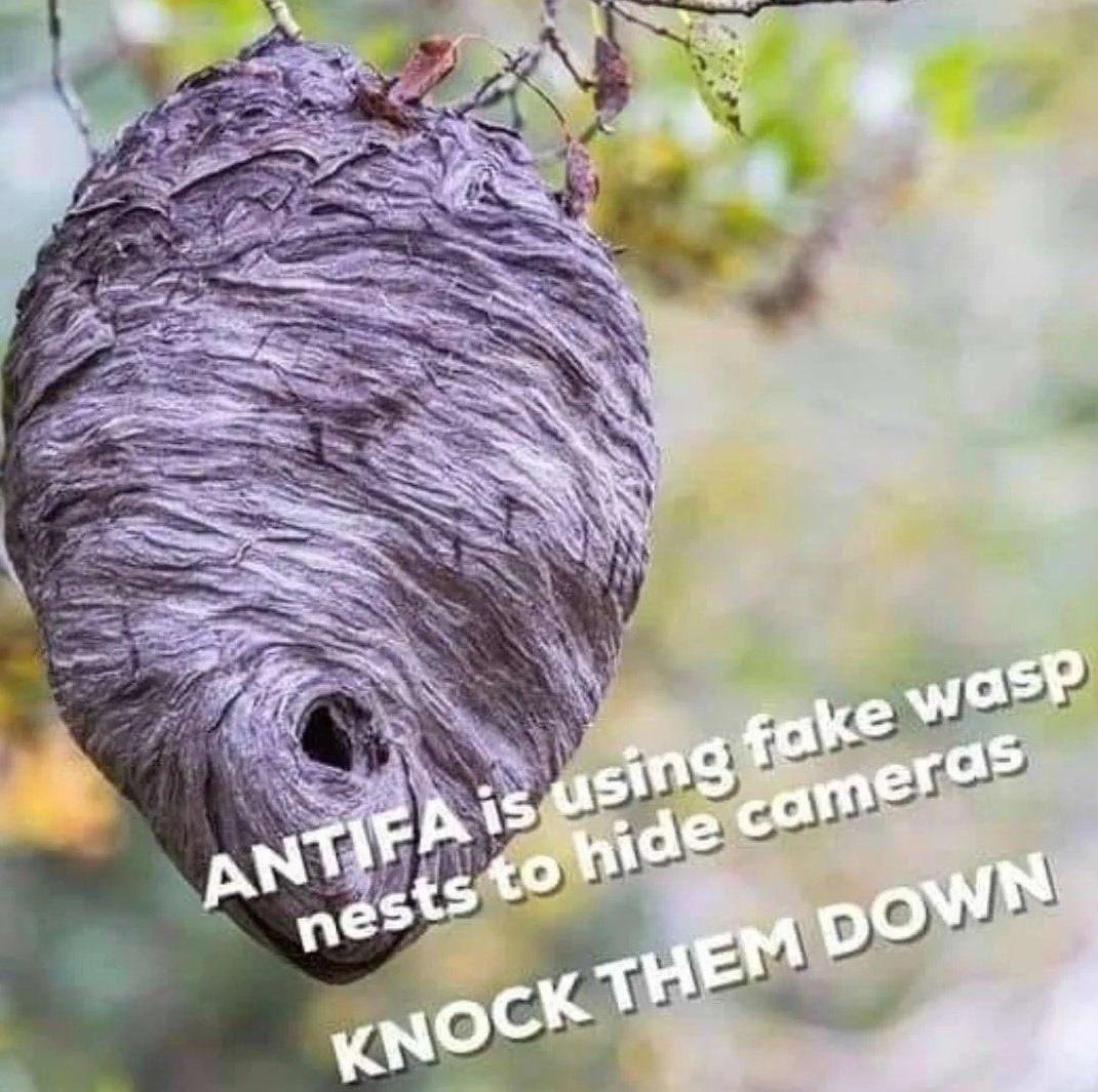 Believe them when they tell you who they are. #ANTIFA #OperationWaspNest 
🐝🐝🐝🐝🐝🐝🐝🐝🐝🐝🐝🐝🐝🐝
#FreedomCorner #Maga #J6