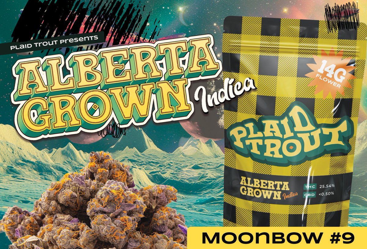 Important Notice from Plaid Trout