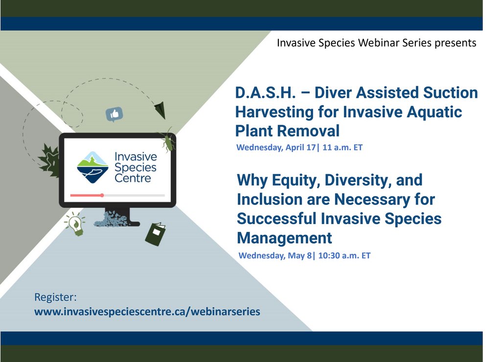 UPCOMING WEBINARS | D.A.S.H. – Diver Assisted Suction Harvesting for Invasive Aquatic Plant Removal - & - Why Equity, Diversity, and Inclusion are Necessary for Successful Invasive Species Management. Register for free: bit.ly/3OFLsWa