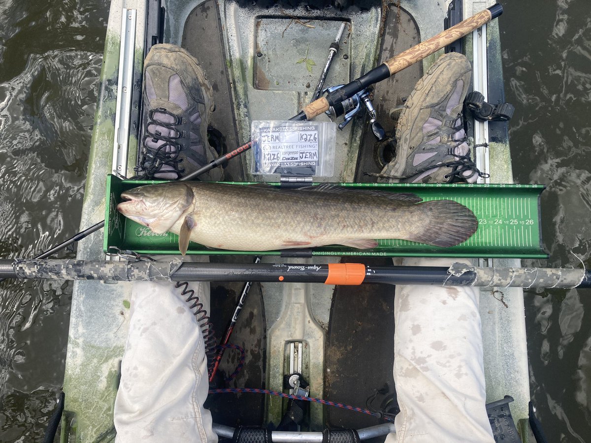 miacalva's tweet photo. My name is Hank, and I catch Bowfin.
#NativeSpecies #Amiacalva #CPRFishing #Cackalacky #JacksonKayak https://t.co/IAAs8cOcAV