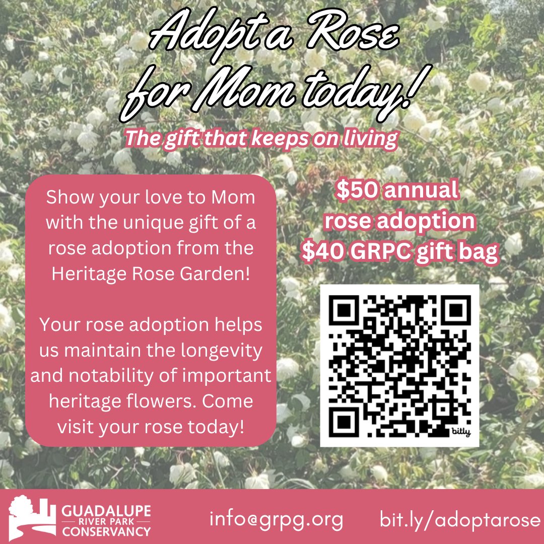 Show your appreciation to Mom this #MothersDay with a rose adoption from the #HeritageRoseGarden! Roses from the HRG🌹flower year after year and are tended to by volunteers every Saturday morning. #AdoptaRose & learn about the Rose Garden: grpg.org/visit/guadalup… #lovetheGRP