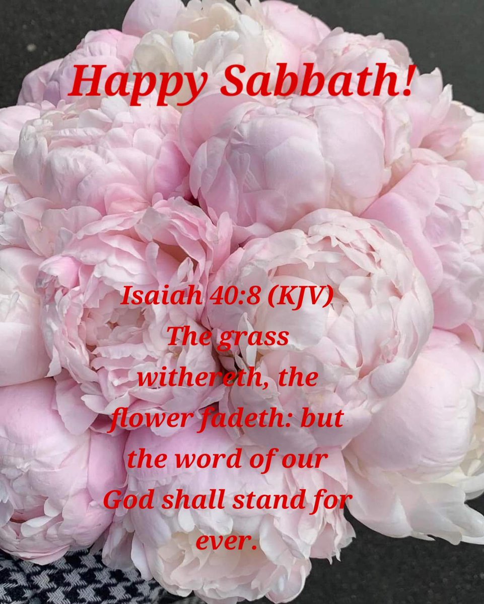 #HappySabbath #saints Isaiah 40:8 (KJV)  The grass withereth, the flower fadeth: but the #word of our God shall stand forever.
#Amen Thank you, #Yahusha #Jesusisking 🙏🏾