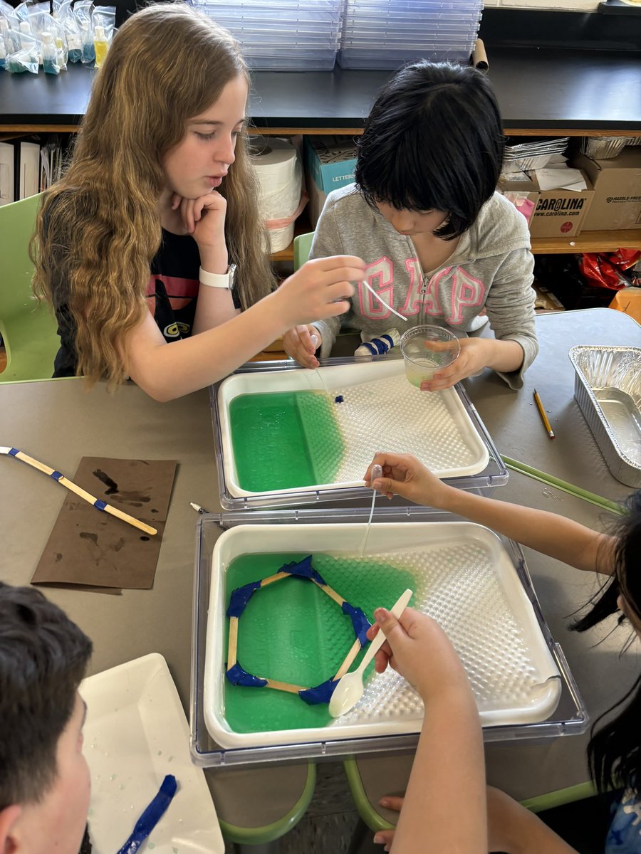 This week in STEM we designed our own contraptions to clean up an oil spill in our man-made Gulf of Mexico! 🛢️🌊