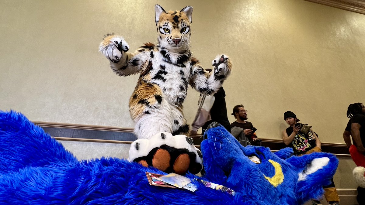 This cat has got some paws! 🐾🐾 I'll inspect them anytime! @CatCandahan 📷 @Dingorooz #FursuitFriday #FursuitEveryday #furryfandom #furry