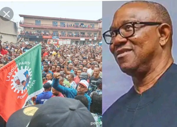 BREAKING 💯 Awesome 👌 I would like to support this project financially . Guideline please 👇 Reactions After Obidient Movement Announced The Commencement Of Operation One Borehole Per Community #Peterobi #Cpo opr.news/s390520e624041…