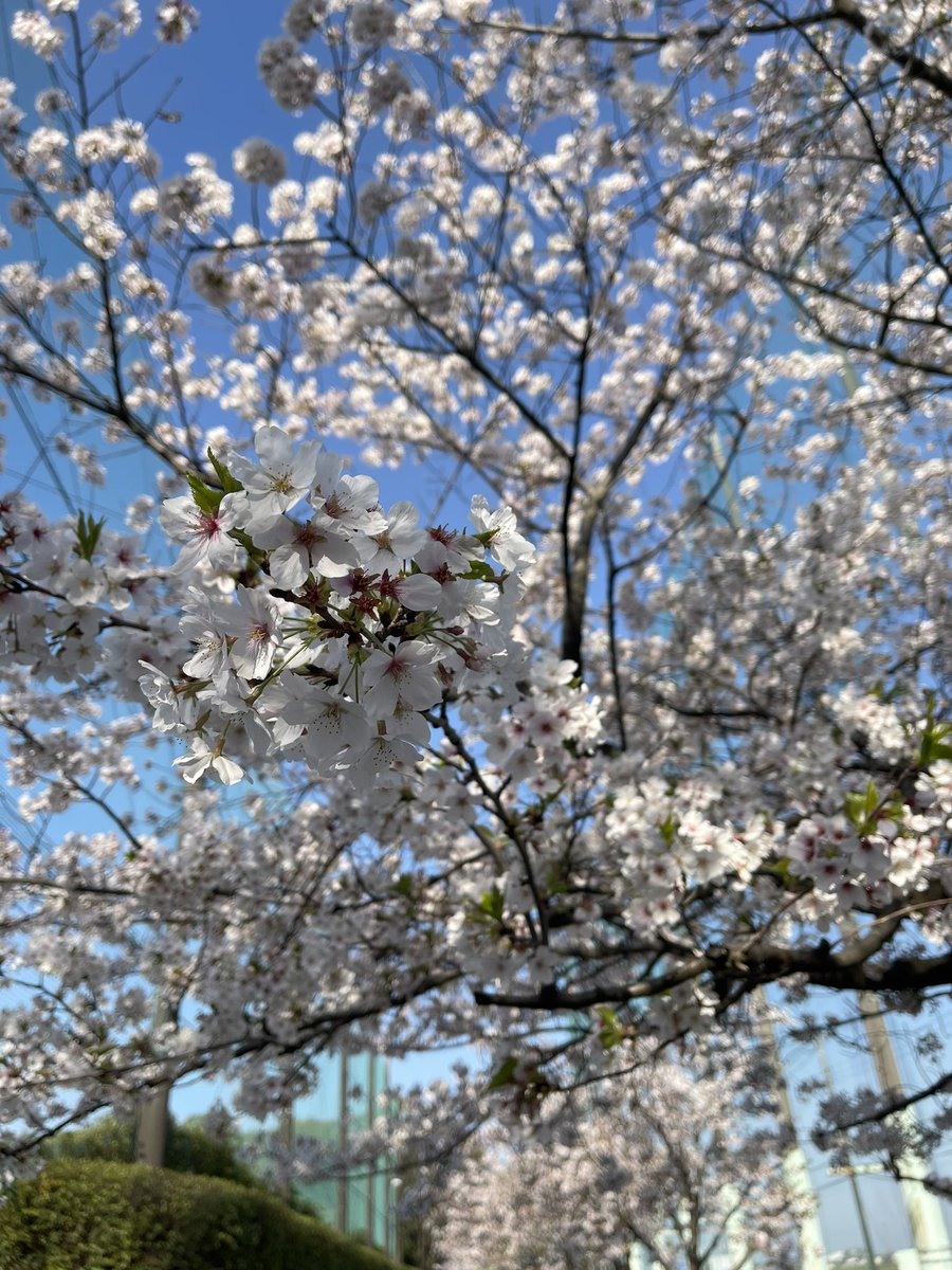 高松2部東部予選　vs三郷メッツさん
朝早いですが、みんな気合い入ってます🔥