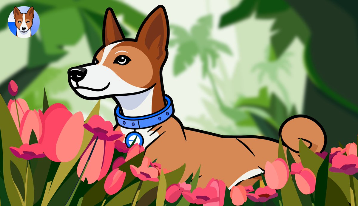 Basenji tweet media