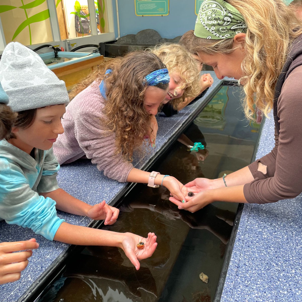 We are proud to announce a $50,000 award from the California Coastal Commission’s WHALE TAIL® Grants Program to support the reconstruction of our Intertidal Lab tank and provide scholarships for young people to explore Pacific coastal marine life. 🐋 @TheCACoast @GoldenGateNPS