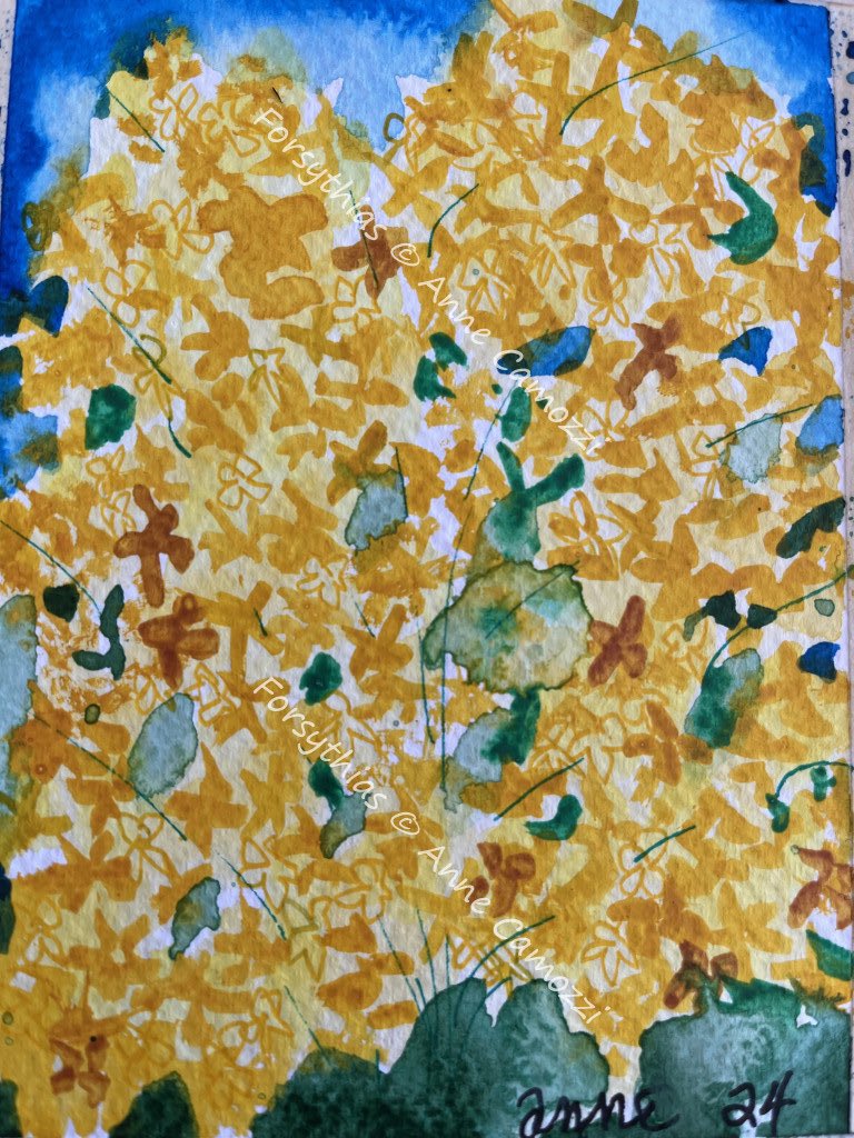 ART EVERY DAY 96 “Forsythia is pure joy. There is not an ounce, not a glimmer of sadness or even knowledge in forsythia. Pure, undiluted, untouched joy.” Anne Morrow Lindbergh FORSYTHIA JOY Art Every Day 96