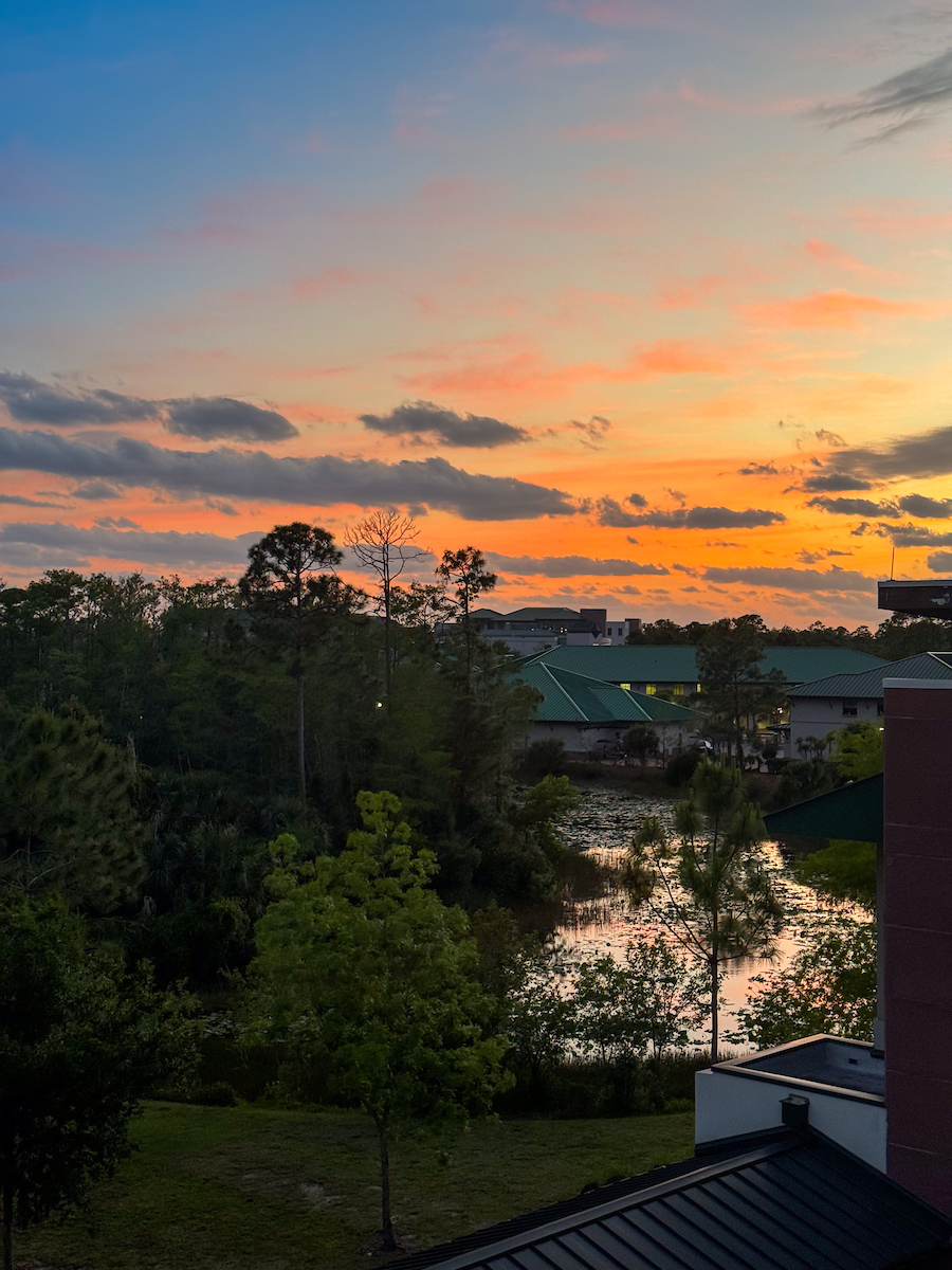 Kickstarting our Friday night with a vibrant sky! We can't get enough of the sunsets on campus. ☀️🌴 #FGCU #wingsup #sunset