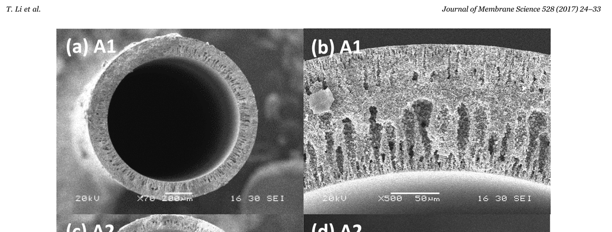 Authors stole images from Li et al and claim they are from Mubashir et al. Coincidentally, Mubashir is not only and author on the paper but also an editor of the special issue in which this #papermill fraud was published. #chemosphere #fraud @ELSenviron