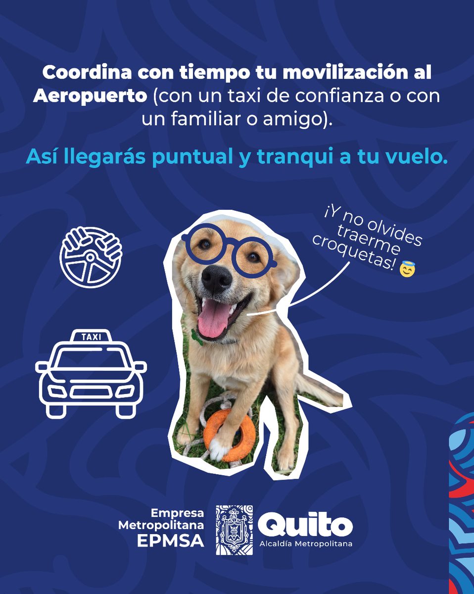 🐕✈️ #AnimalitosEnElAeropuerto | Camino a su próxima aventura, la pequeña #Annie tiene una buena recomendación para cuando vengas al #AeropuertoDeQuito.

Toma nota de este #ConsejoDeViernes.

#AeropuertoDeHistorias