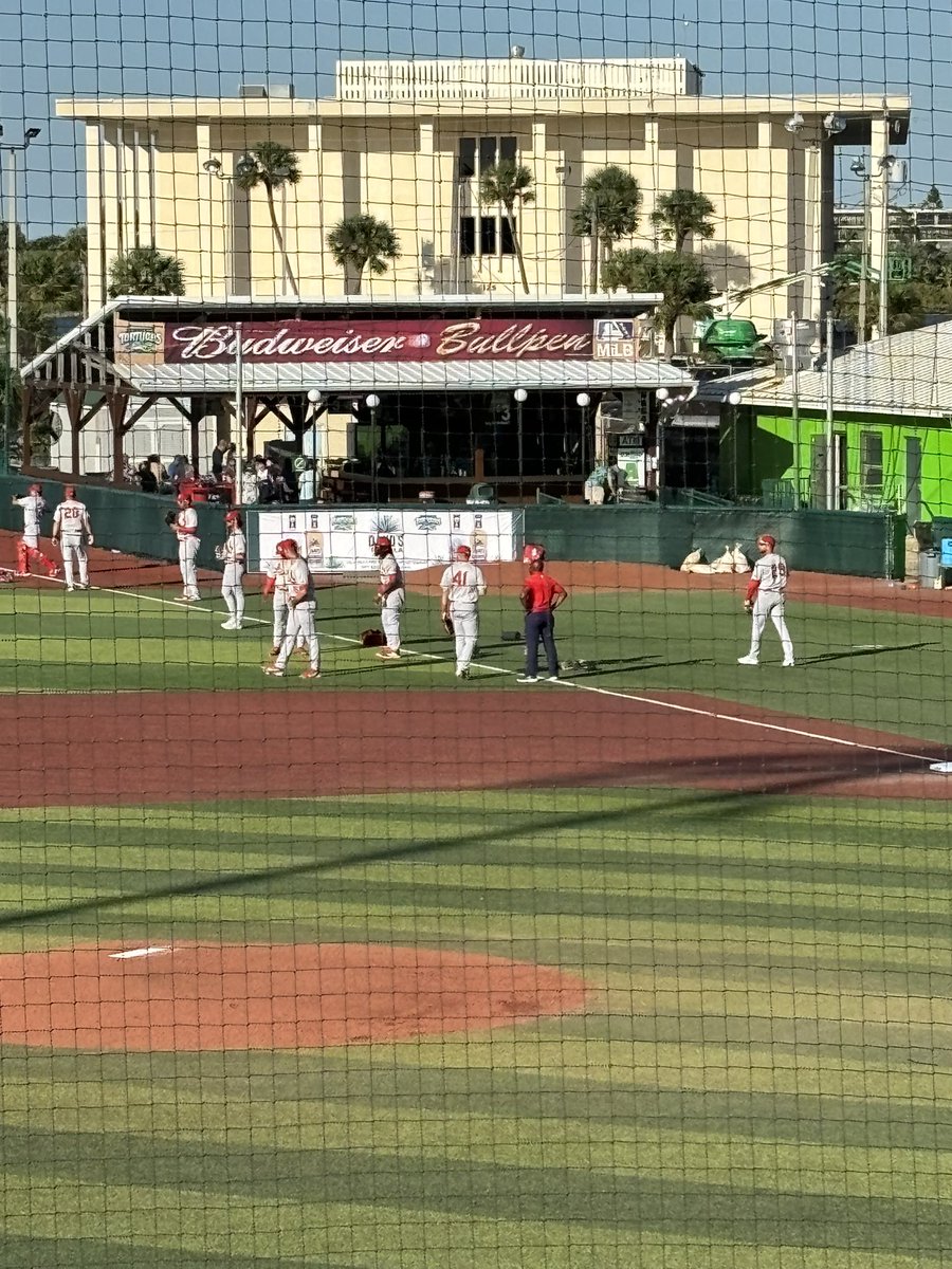 Taking in a minor league baseball game . Was inspired by an #HATM viewing a couple of weeks ago.