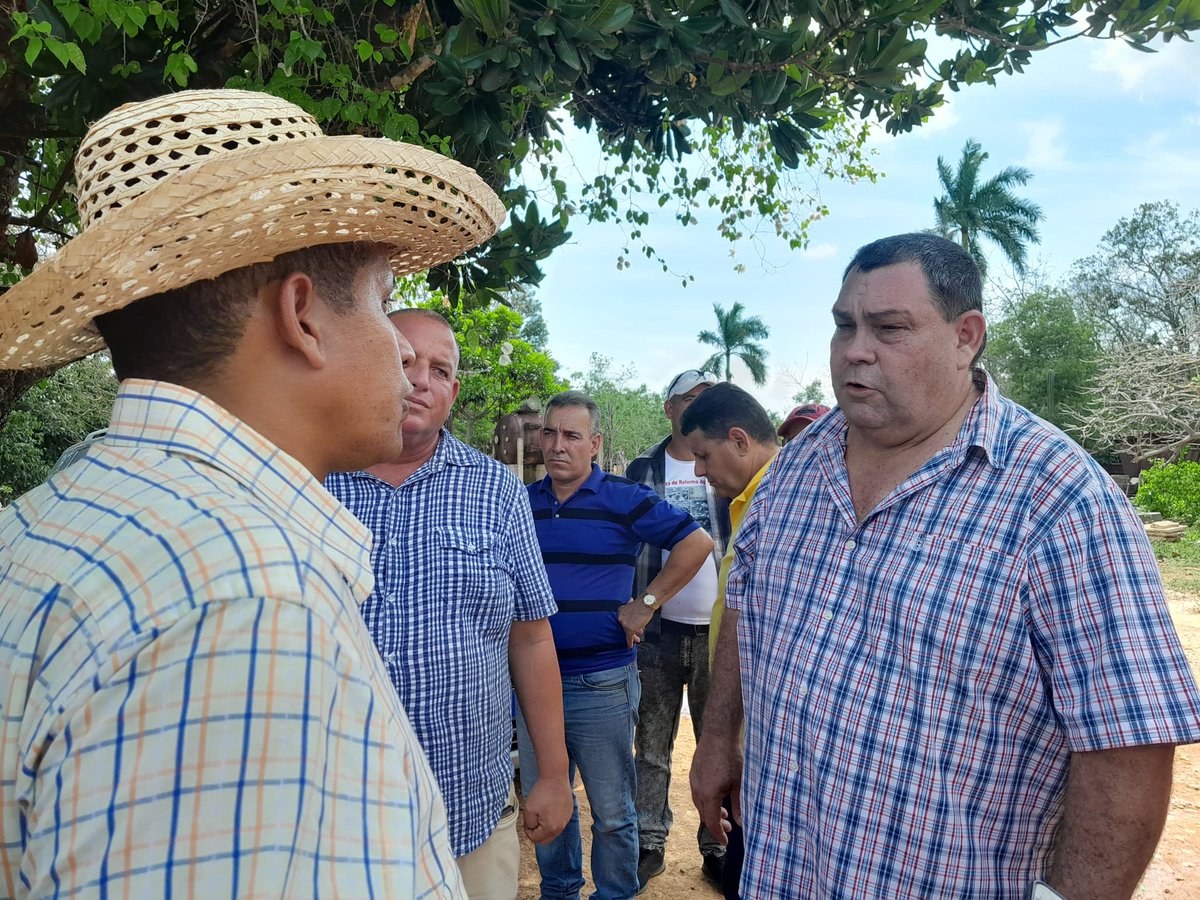 Diario Mayabeque tweet media