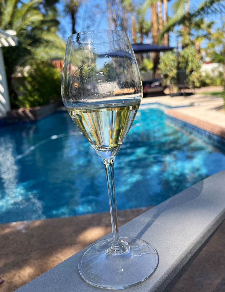 Happy Friday from a very warm Scottsdale. ☀️🥂🌵Excited to defrost this weekend after a very chilly and wet San Diego winter. Wishing everyone a wonderful weekend! 🫶
