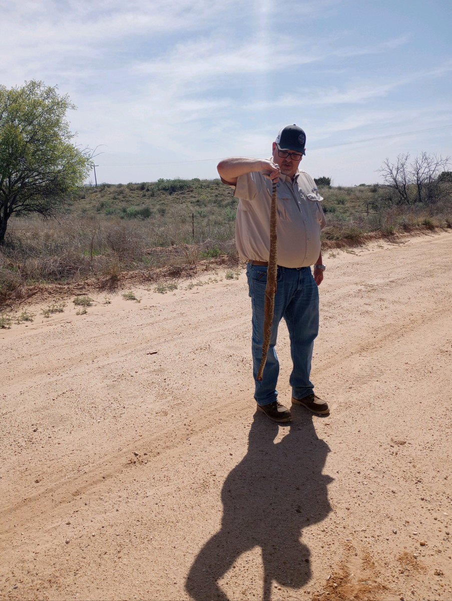 Justin Campbell tweet media