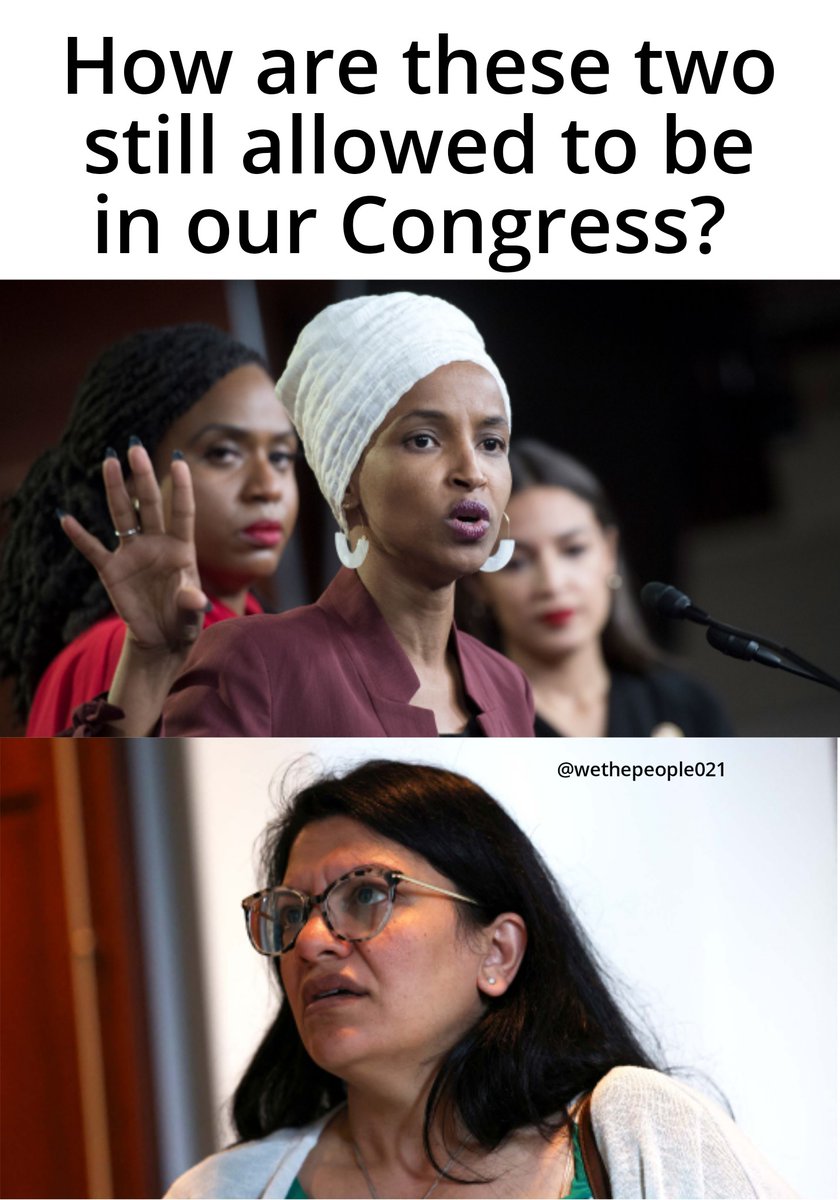 Do you think they should be allowed in our Congress?