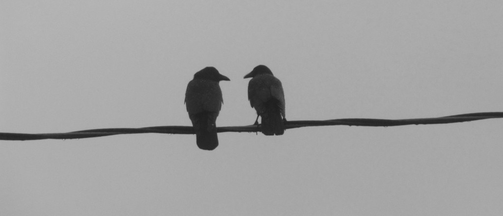 Deep_English's tweet image. The crow was given a short stick hanging on a string, a long stick out of reach in a box, and a piece of food also out of reach in an even deeper box.
Are you smarter than a crow? 👉 lttr.ai/ARCwO
#Crows #Intelligence #ProblemSolvingAbilities
