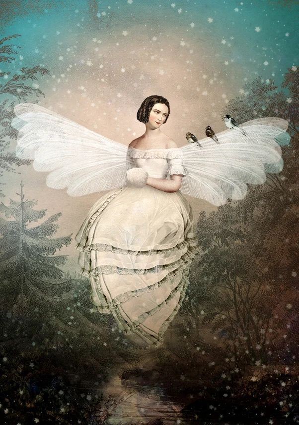 May your dreams be as light as the clouds...☁️☁️☁️ #GoodNightTwitterWorld 🌟🌟🌟 #GoodNight #PainterOfTheNight #Artlovers #Art #Artist Catrin Welz Stein Winter moth