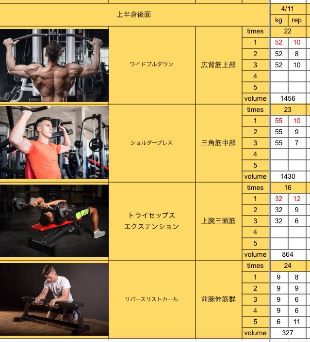 背中のトレーニング🏋️✨