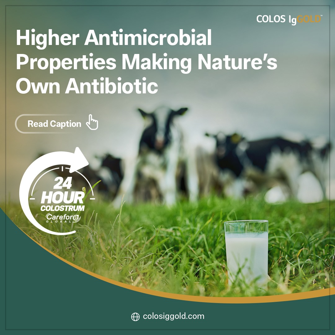 Did you know that early #colostrum possesses incredible antimicrobial properties that showcase nature's brilliance? Packed with lactoferrin and lysozyme, it acts as a natural antibiotic, effectively shielding your health by warding off harmful microorganisms. 🌿✨#NatureKnowsBest