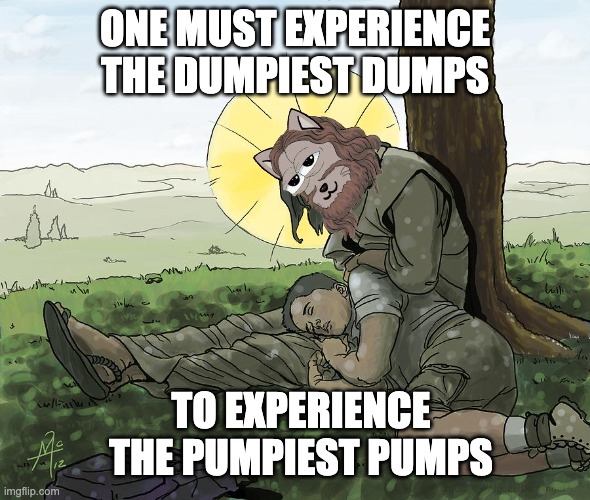 Rest thy head my weary child.

One must experience the dumpiest dumps in order to experience the pumpiest pumps.

#Believe
