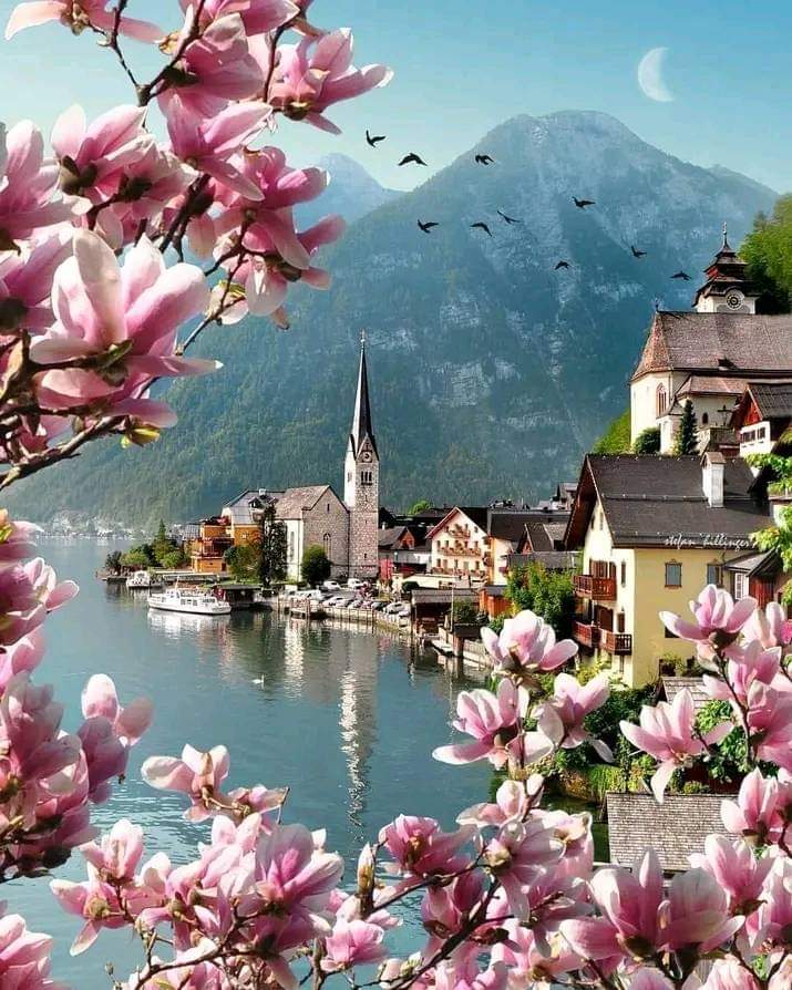 @JamesLucasIT Spring in Austria