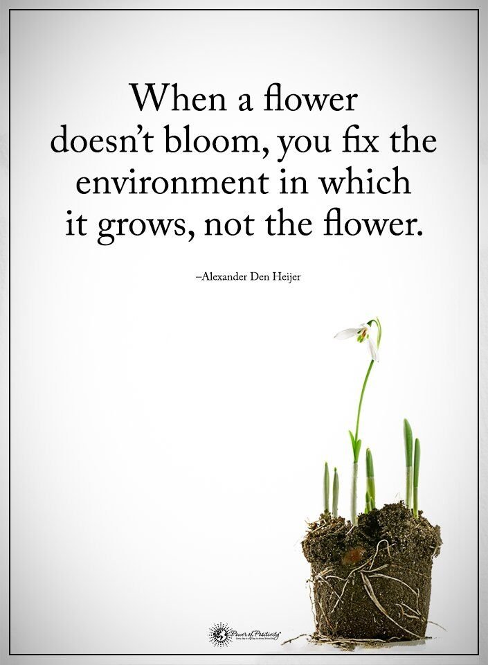 Love this. Applies to organizations, departments, schools, etc. Culture and environment is everything and a strong leader knows how to cultivate the environment to help the team grow and become leaders!