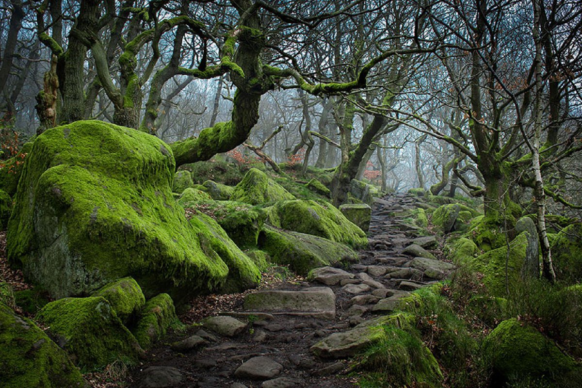 Amazing pathways. NMP.