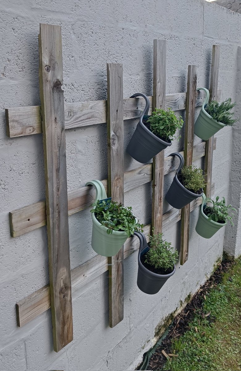 After years of weeds, a herb garden again!