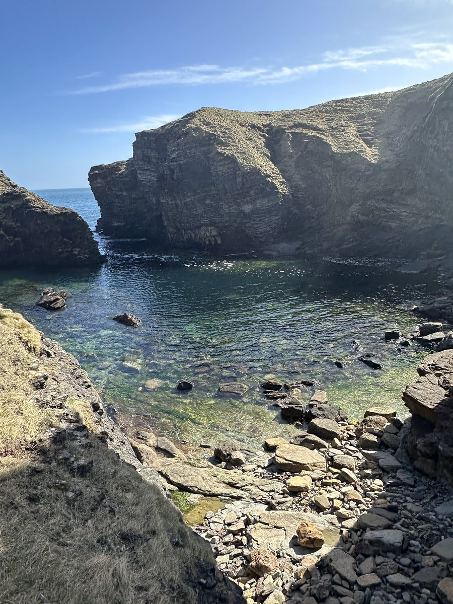 Lovely coastal walk this afternoon.