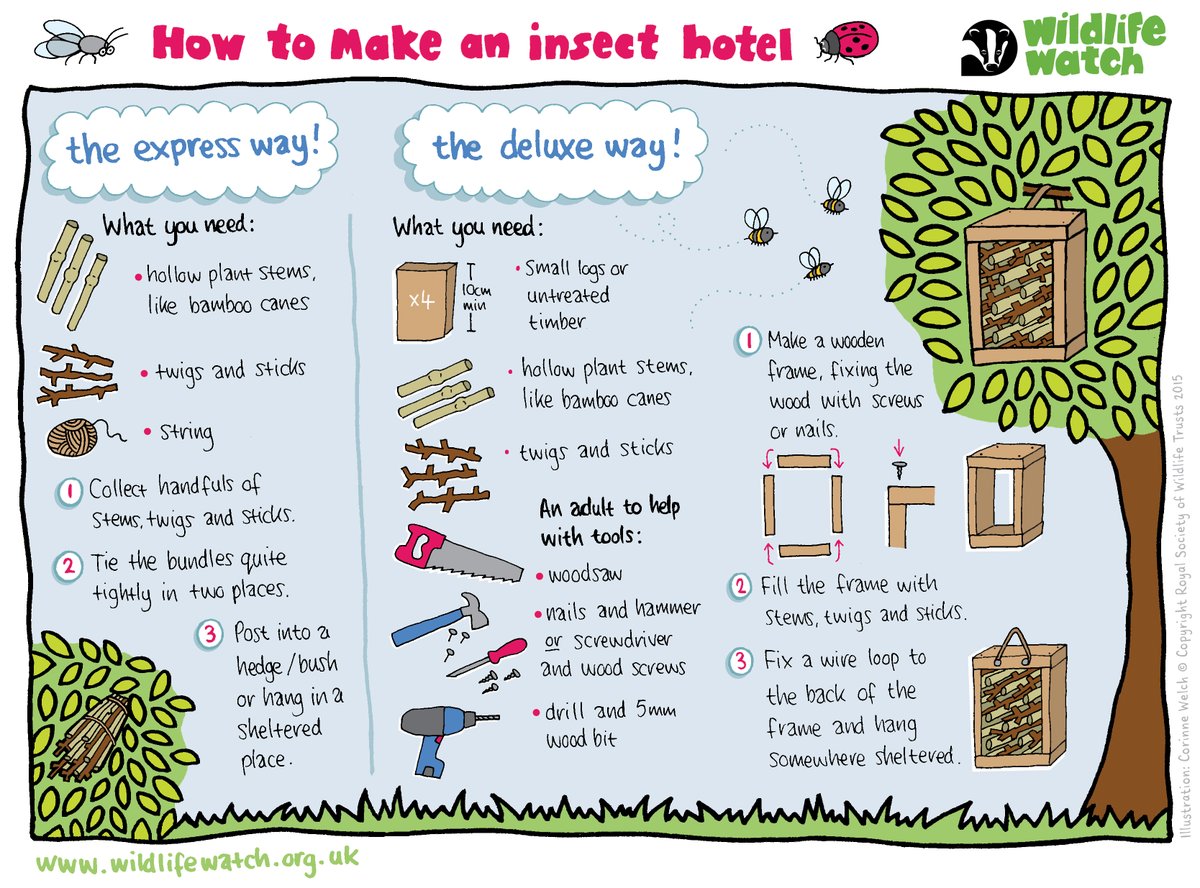 It's Family Friday! 💚😆💚 Do you have a few old bits and bobs laying around your garden? Why not use them to make a bug hotel? Insects will love all the dark places to hide in! 🐞🕸️🐛 Discover more ⬇️ wildlifewatch.org.uk/activities