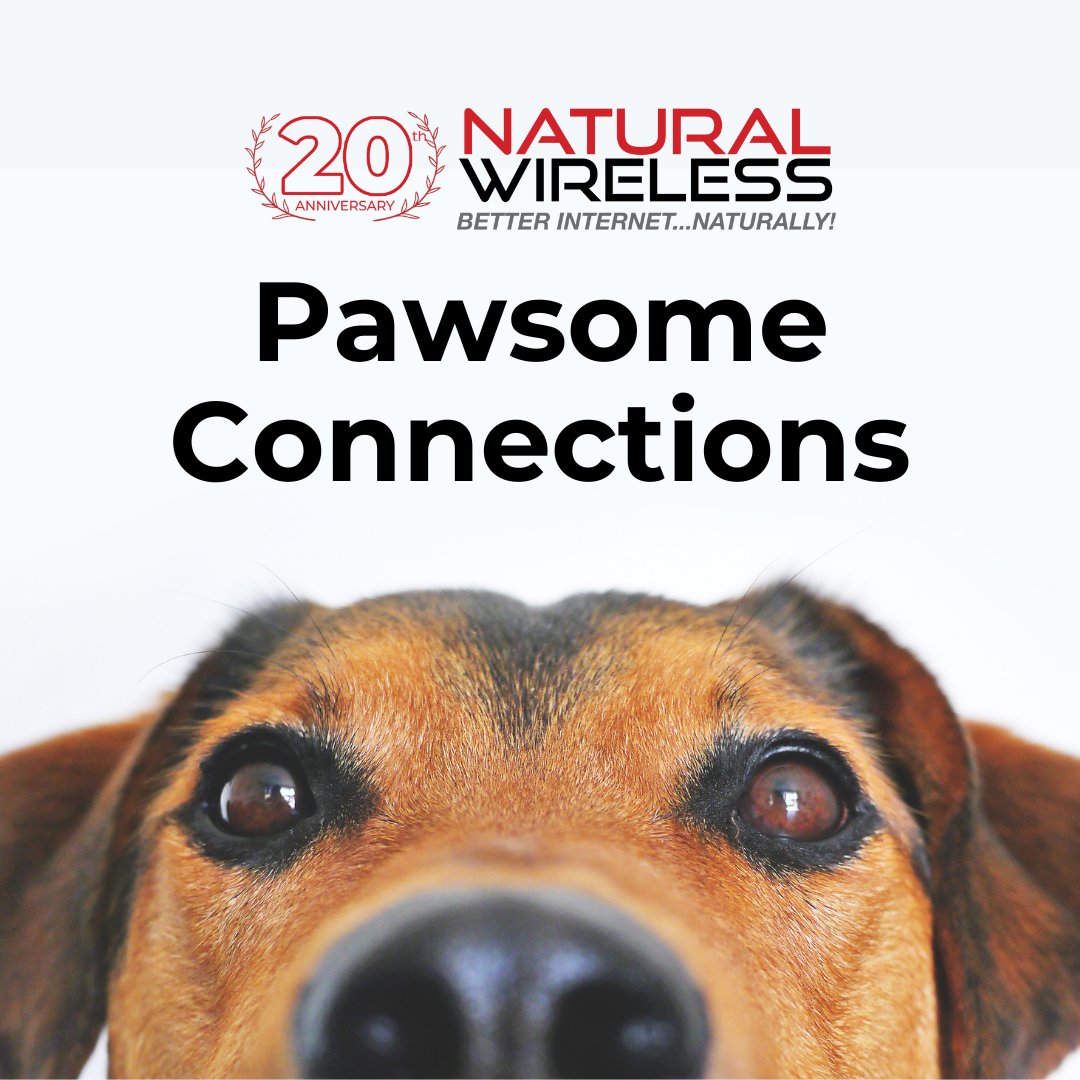 Happy National Pet Day! 🐾 Natural Wireless's purrfect Internet reliability keeps you connected.

#nationalpetday #fixedwireless #businessinternet #wirelessfiber #connectivity #lastmile #pathdiverse  #channelpartners #naturalwireless #fixedwirelessfiber #fixedwirelessaccess