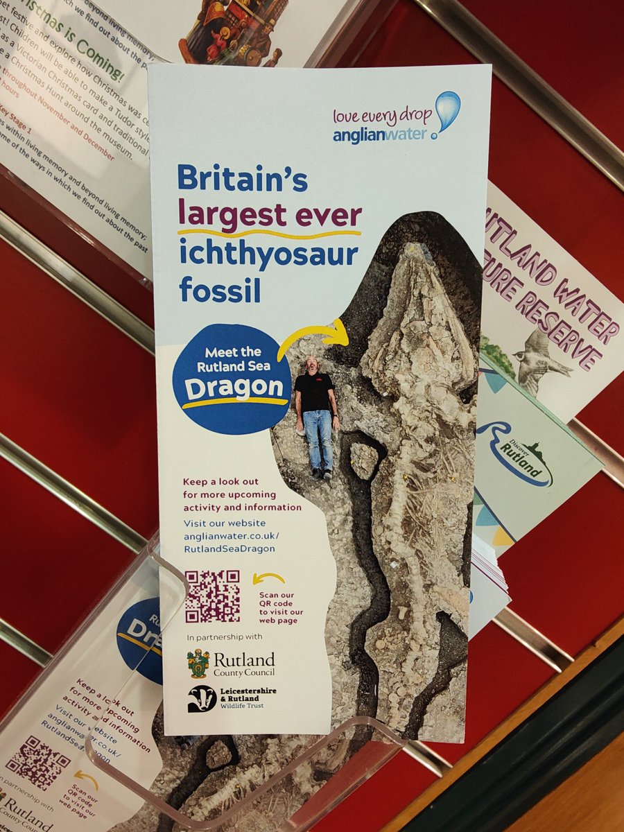 Went to the rutlandcountymuseum.org.uk/home/?fbclid=P… for #FossilFriday to chat about donating some locally found #fossils very soon. Spotted a crisp looking #ichthyosaur paddle on display. Also chatted about the #rutlandseadragon with them 🙂 @MarkoPalaeo @Dean_R_Lomax #supportlocalmuseums