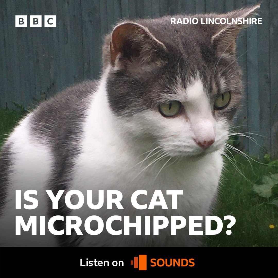 It'll soon become compulsary for cats to have a microchip. Learn the basics: bbc.in/49Emc9E