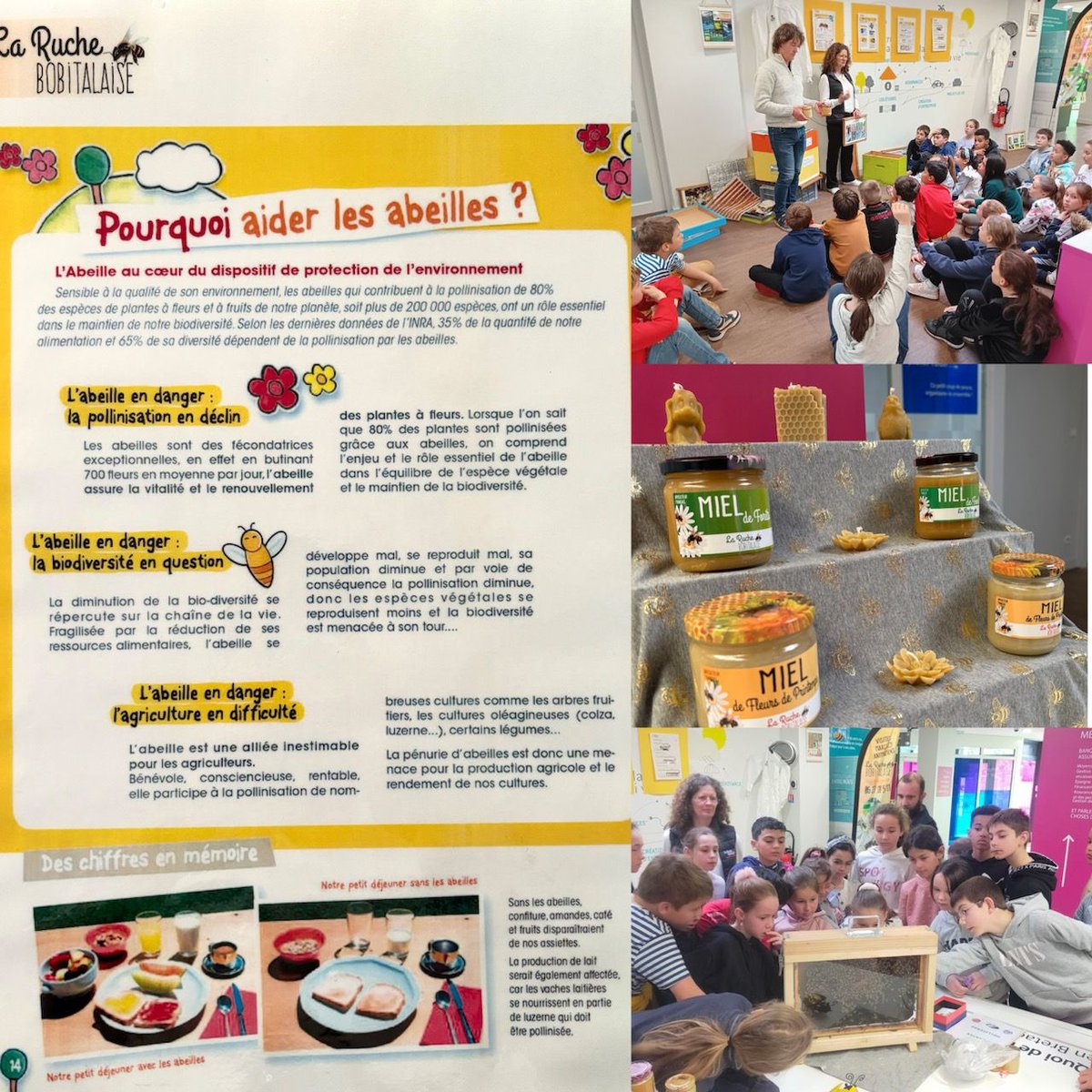 Très heureux d'avoir partagé notre animation avec l'école St-Sauveur de Plancoët 🐝. Nous avions à coeur de proposer cette animation lors de notre AG en clin d'œil à notre challenge RSE UT de Dinan remporté en juin dernier🏆🌷🍯
Merci à Delphine et Pascal, nos happy culteurs 🤗.
