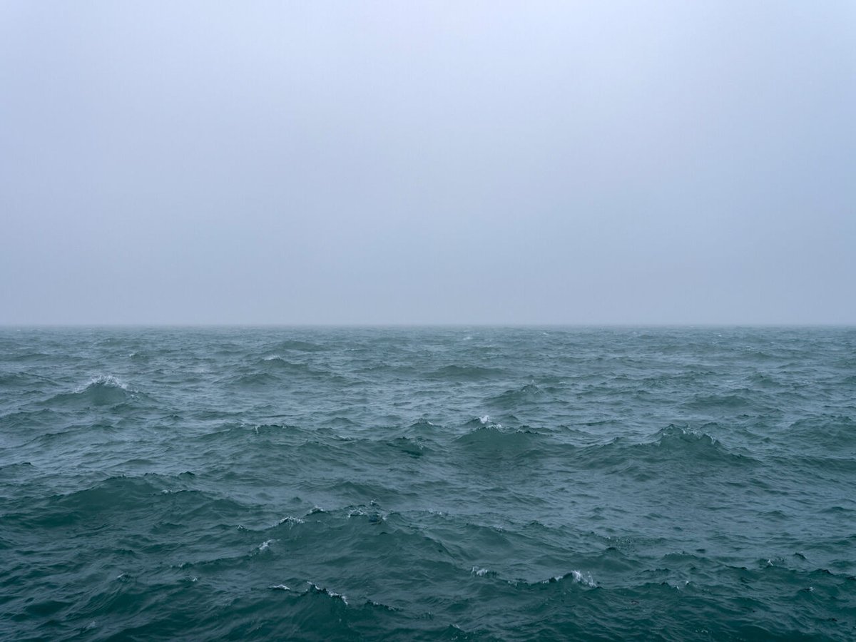 What is your relationship to nature? A question I keep circling back to as I recently returned to reading Maya Lin’s beautiful and deeply thoughtful book, Boundaries. I was struck by a passage exploring the relationships between photography and technology and the natural world: