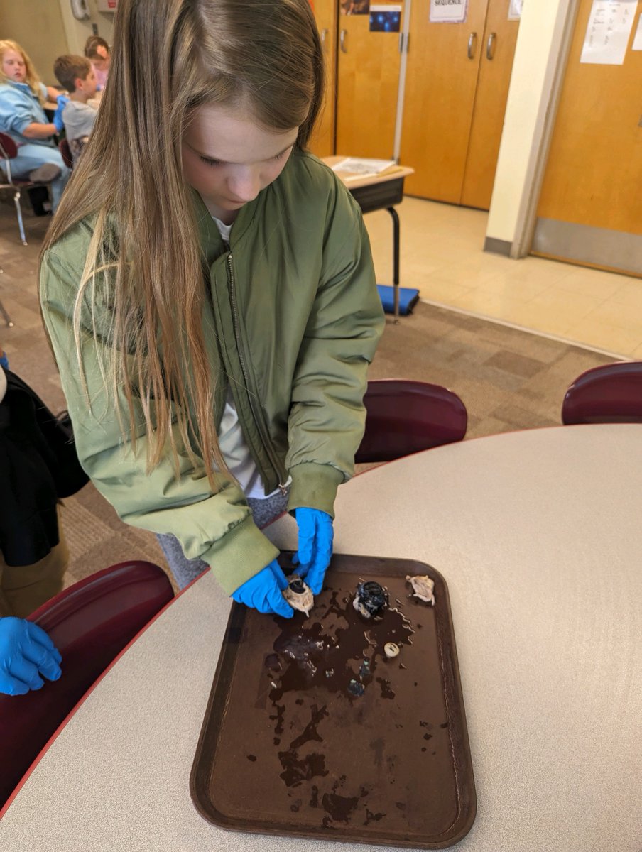 4th grade students participated in the cow eye dissection this week! Lots of excitement, curiosity, and learning is always happening! #parklandpride #scienceisfun