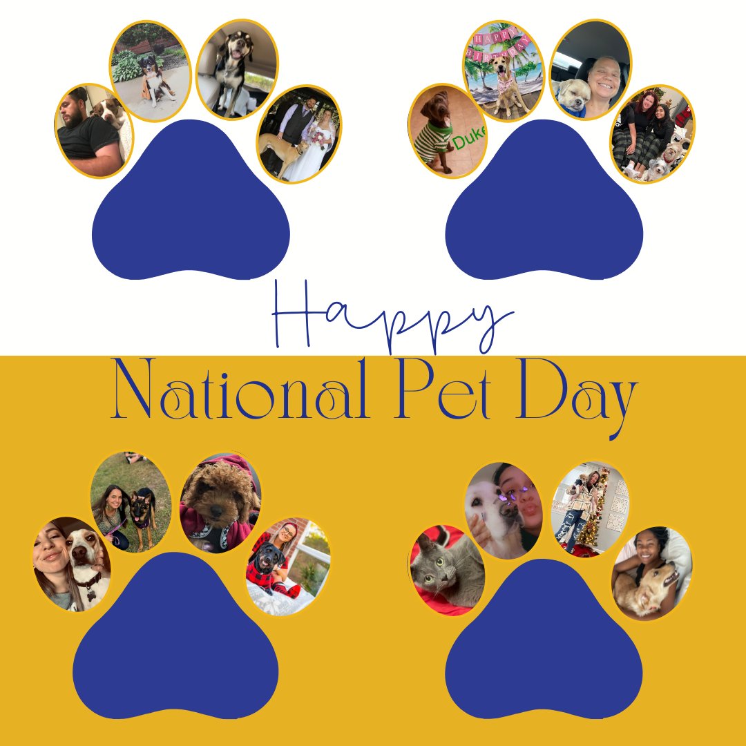 JSEMustangs's tweet image. In honor of National Pet Day, which took place yesterday, here are some photos of our staff with their prized pets! 💛🐴💙